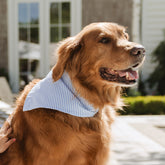 Henry's Dog Bandana, Sand Bar Blue