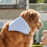 Henry's Dog Bandana, Sand Bar Blue