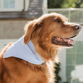 Henry's Dog Bandana, Sand Bar Blue