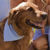 Henry's Dog Bandana, Sand Bar Blue