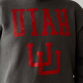 Utah Men's Hoodie, Charcoal - Utah