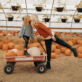 Mini Spooky Jetsetters