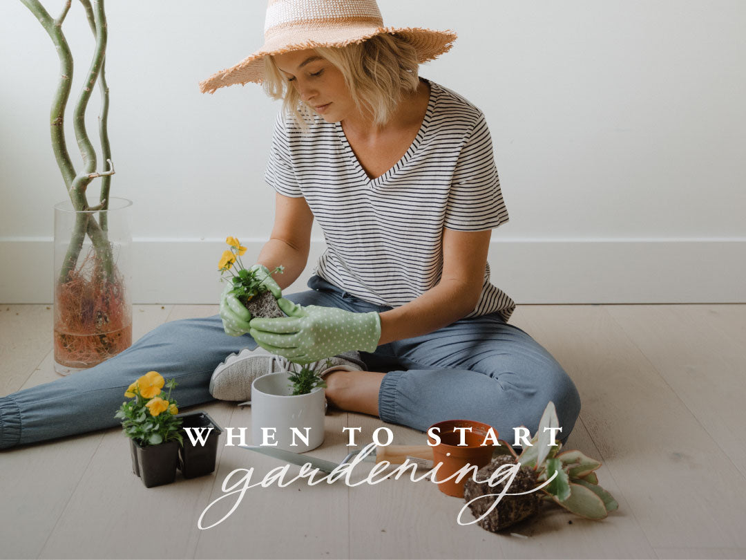 WHEN TO START GARDENING