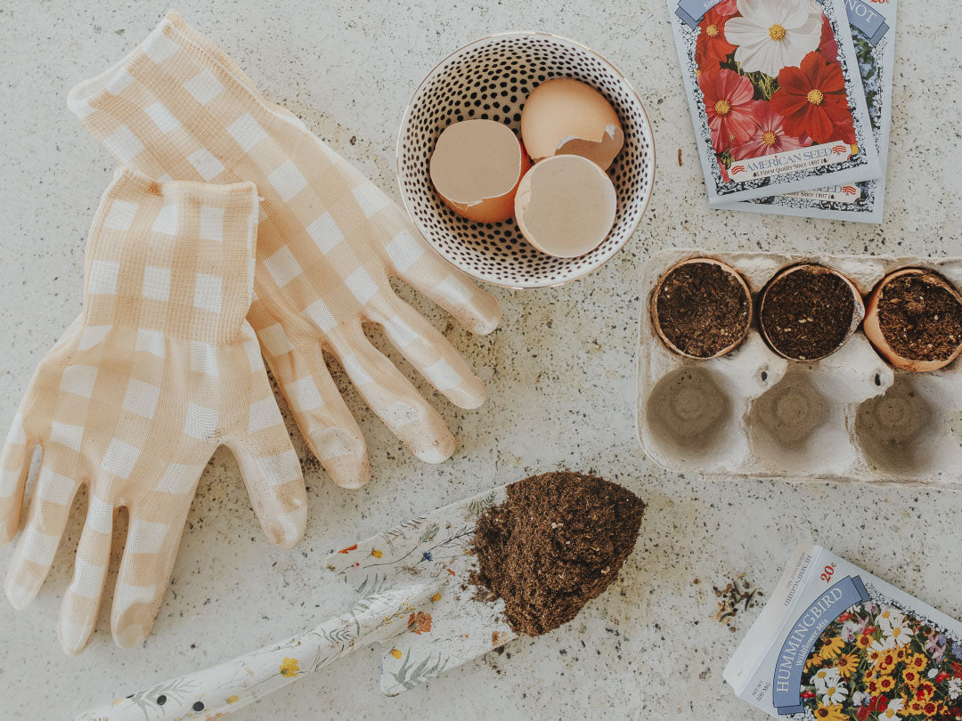 How To Start Your Garden With Eggshells