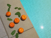 Clementines and mint arranged beside a swimming pool for a Clementine Mint Fauxjito recipe