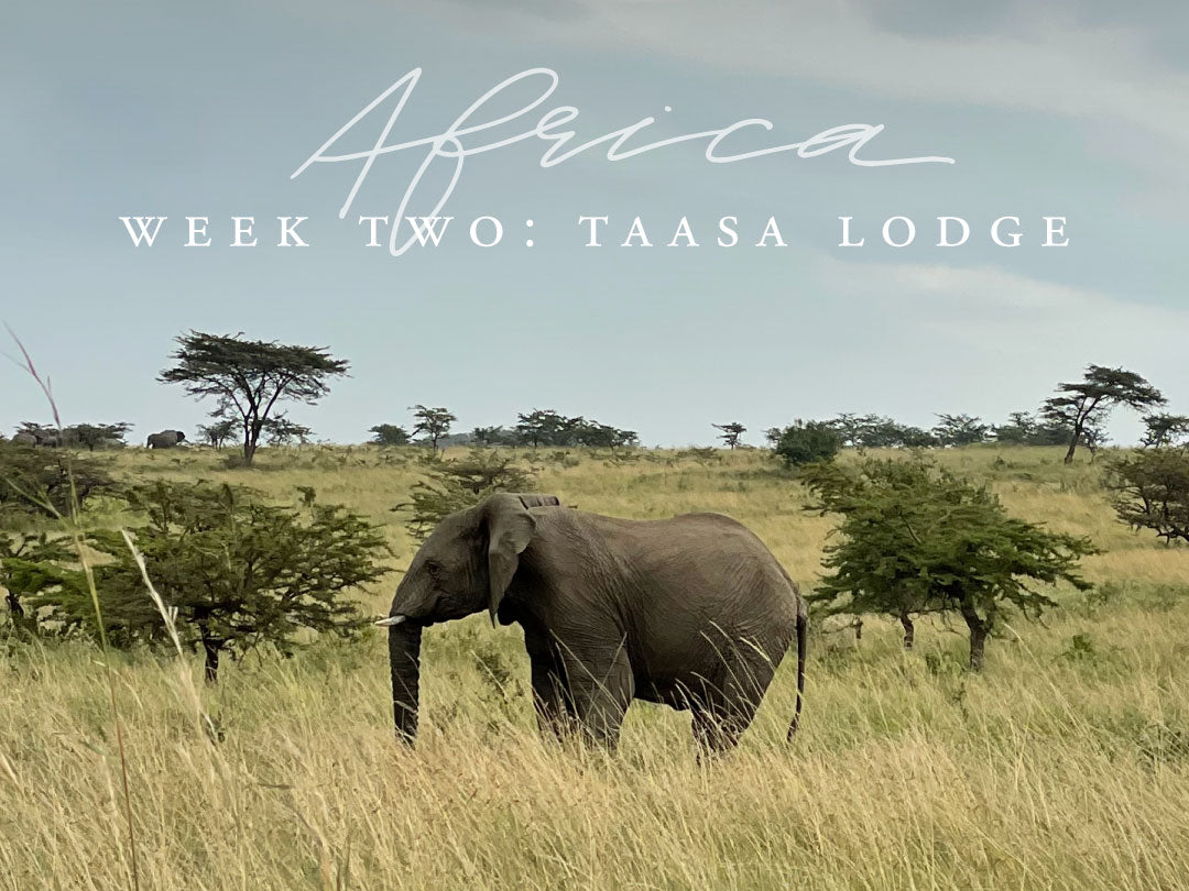 3 weeks in Africa: Week 2, Taasa Lodge