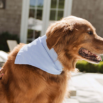 Henry's Dog Bandana, Sand Bar Blue
