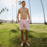 Wind and Sea Shorts, Pink Check