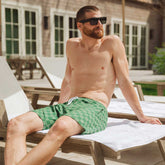 Wind and Sea Shorts, Green Check