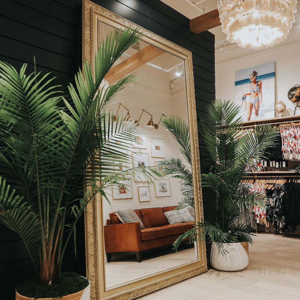 Albion Fit Store at Fashion Place Mall Murray, Utah